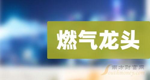 深圳燃气价格最新爆料,揭秘新政策下的费用变动